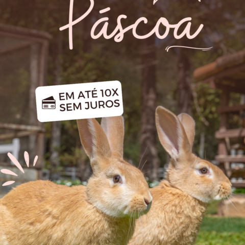 Pascoa SM