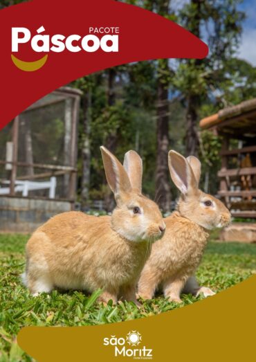 Cartaz São Moritz - Identidade visual (1)